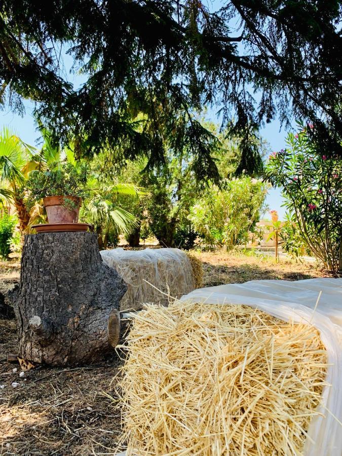 Trulli Pietra Viva Villa Alberobello Exterior photo